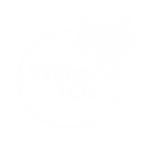 VylmoriaTCG creator